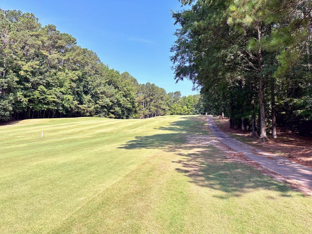 Trees on golf course green