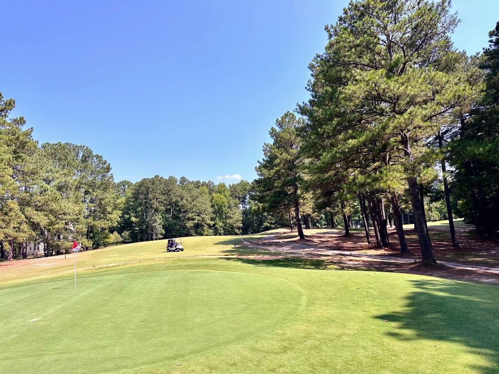 Trees on fairway