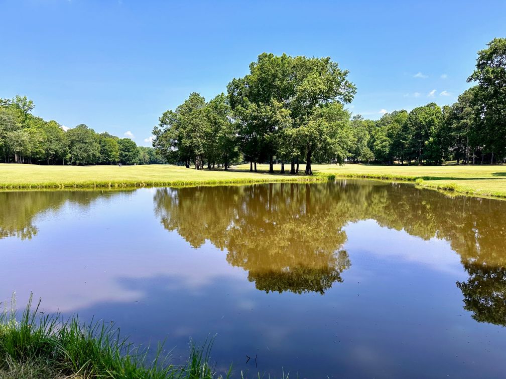 Pond on golf course