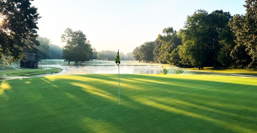 Greens of golf course